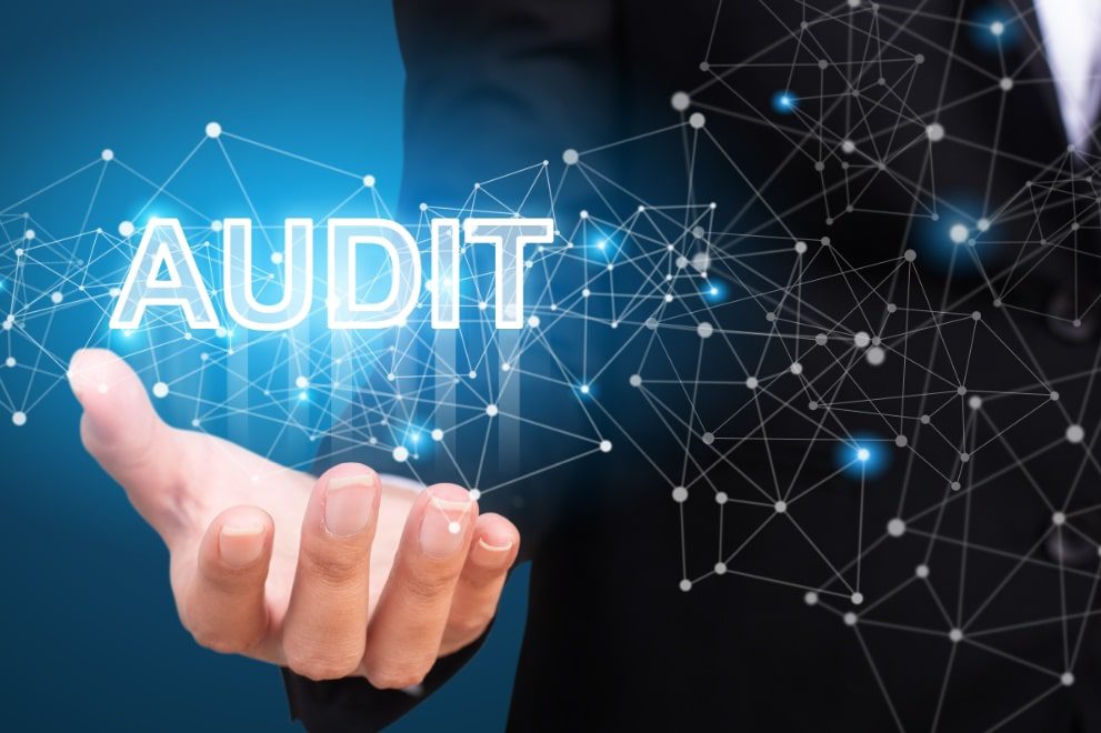 İÇ TETKİK VE TEDARİKÇİ DENETİM DANIŞMANLIK HİZMETİ